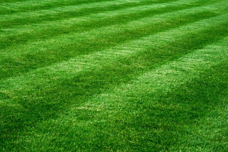 How to Achieve Perfect Lawn Stripes for a Professional Finish